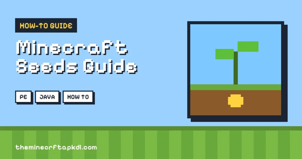 Minecraft Seeds